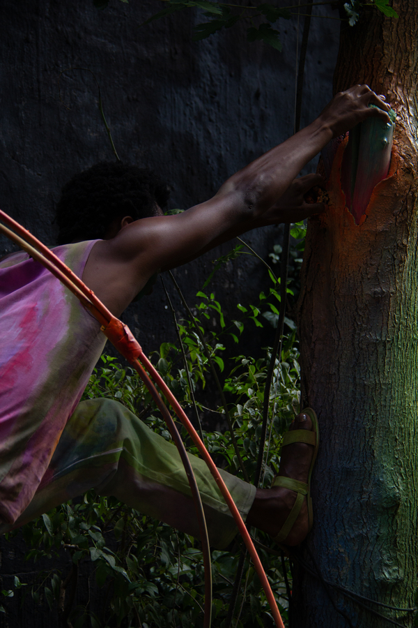 They, the tree and the structure - Flora Moscovici